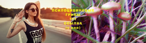 ешки Инта