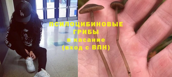 синтетический гашиш Ельня