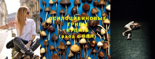 синтетический гашиш Ельня