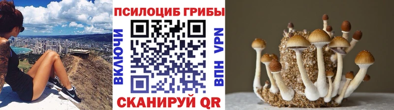 Псилоцибиновые грибы прущие грибы  Купить  Лесной 